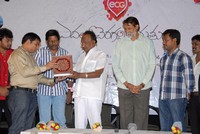 Edalo Cheragani Gurthulu Audio Launch